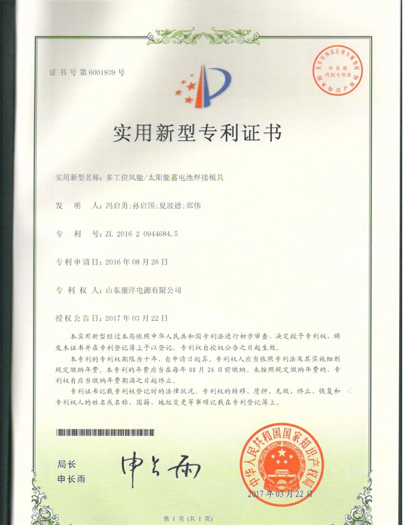 Patent certificate 6